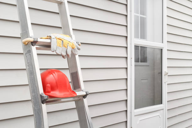 Affordable siding repair and maintenance services in Lemmon, SD