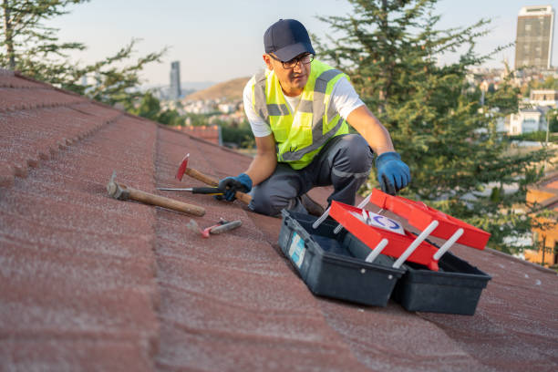 Best Residential Vinyl Siding Installation  in Lemmon, SD